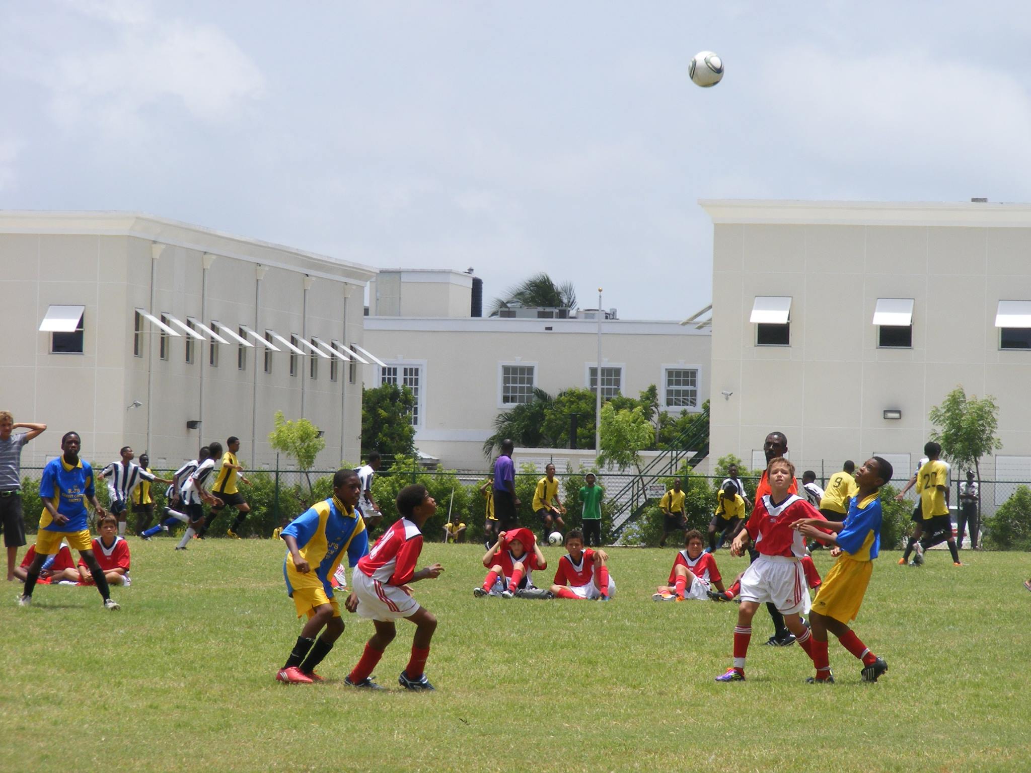 14071600392_df37d6eed6_o_d