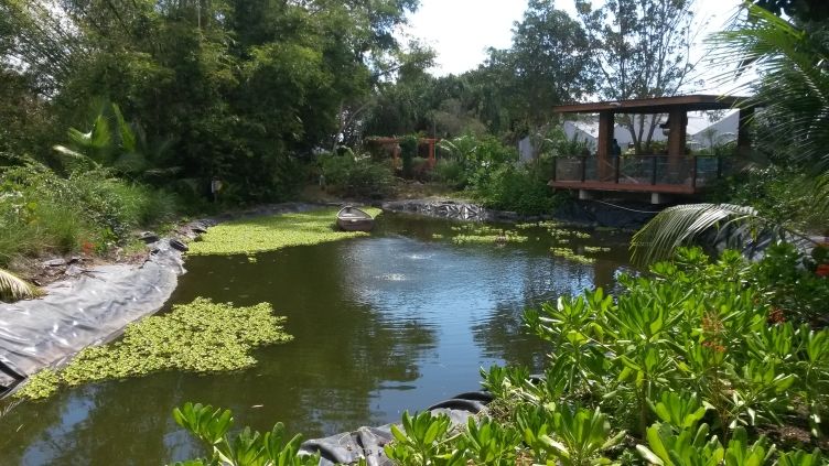 nature%20care%20pond